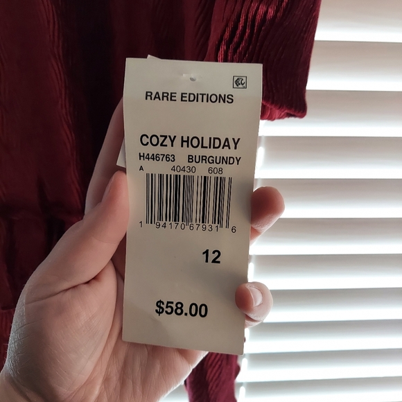 Nwt girls burgundy dress - Picture 3 of 9